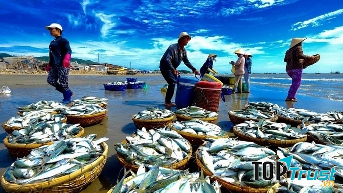 Đánh bắt thủy sản tại Việt Nam