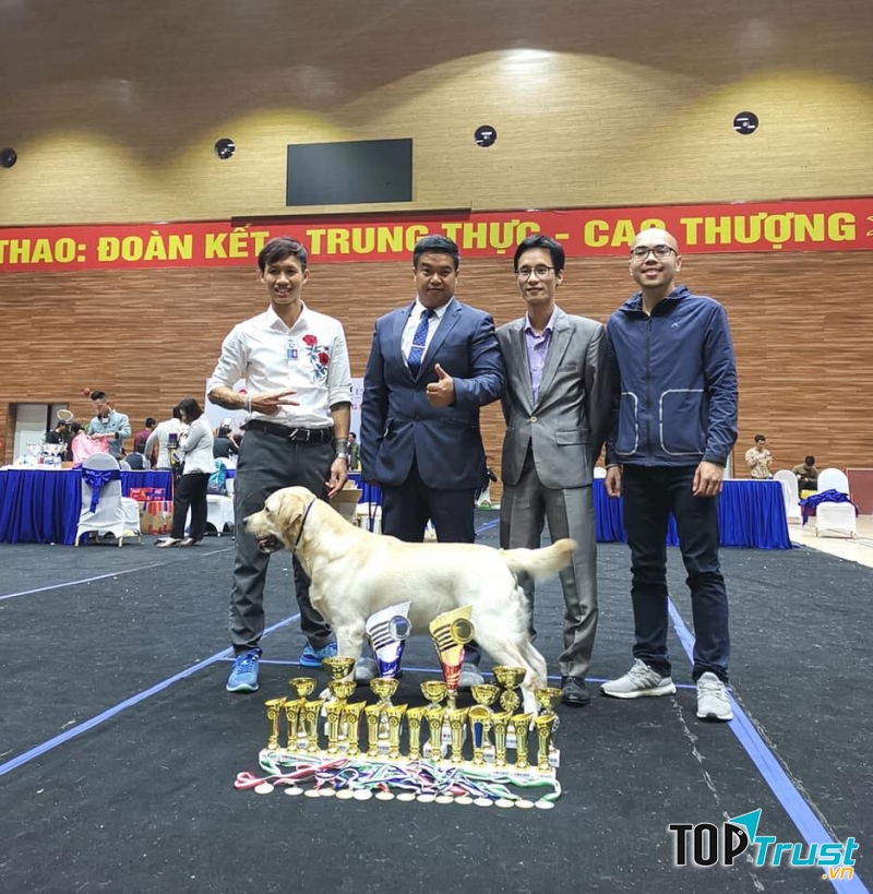 Vietnam Labrador Kennel