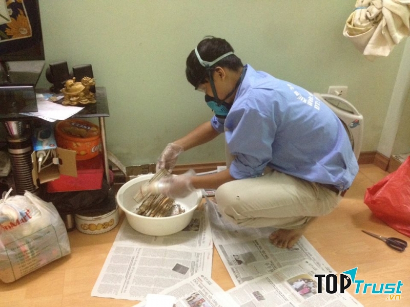 Vietnam Pest Control – Công ty TNHH Kiểm soát côn trùng Việt Nam
