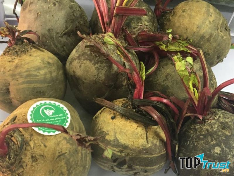 Vietnam VEG - Thực phẩm sạch Hải Phòng
