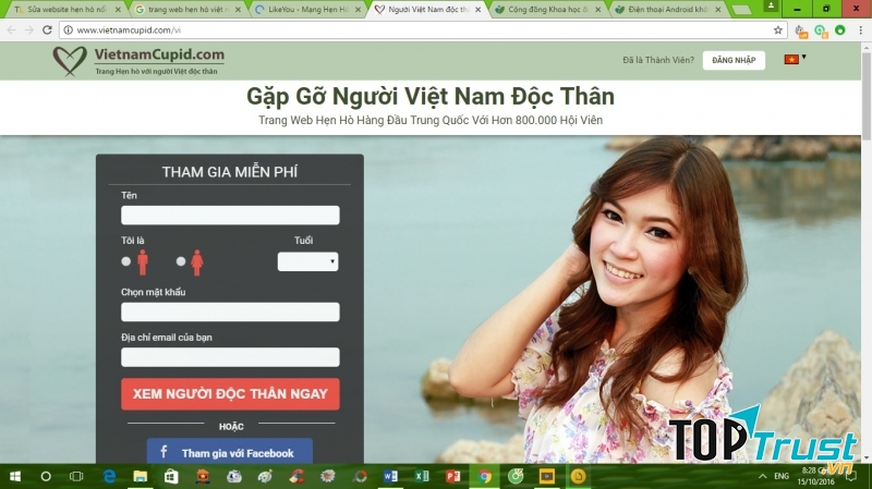 Web VietnamCupid