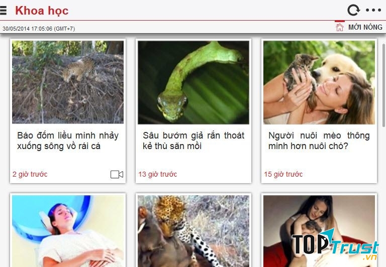 Vietnamnet.vn