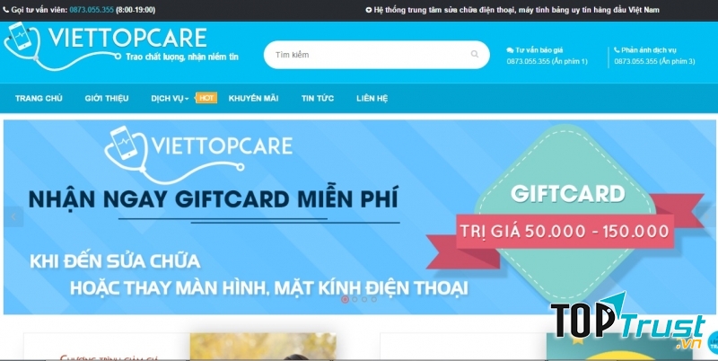 Website của Viettopcare
