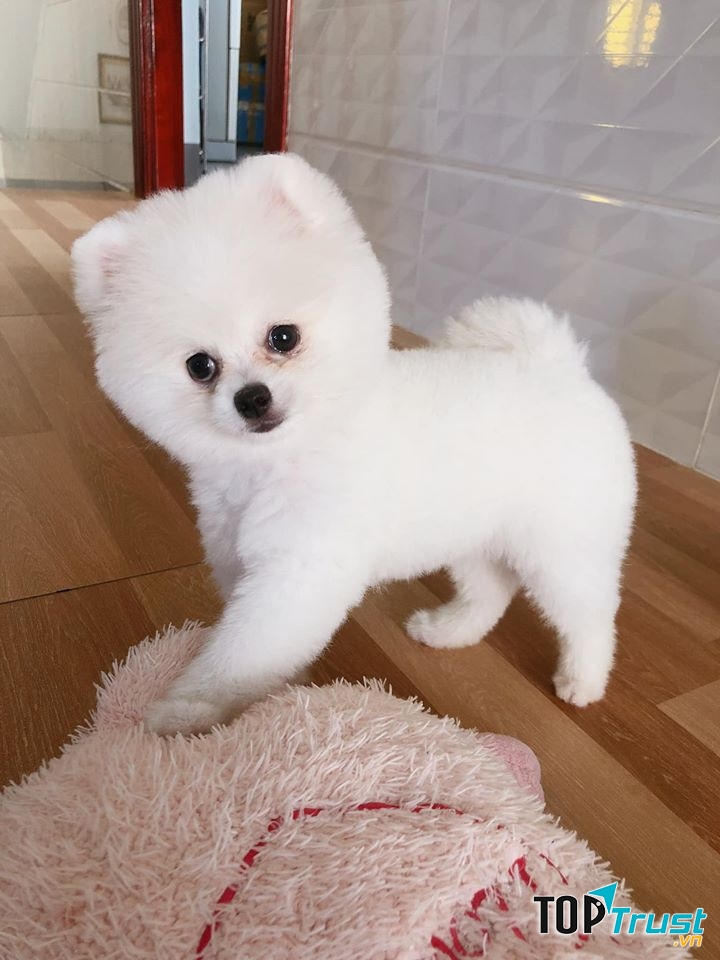 Các bạn có nhận ra tớ không?