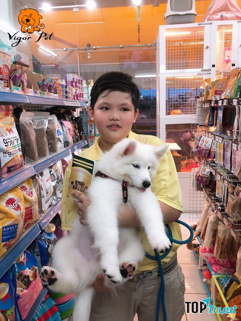 Vigor Pet . Nha Trang