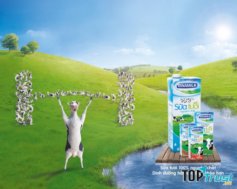 Vinamilk hiện là doanh nghiệp hàng đầu của ngành công nghiệp chế biến sữa