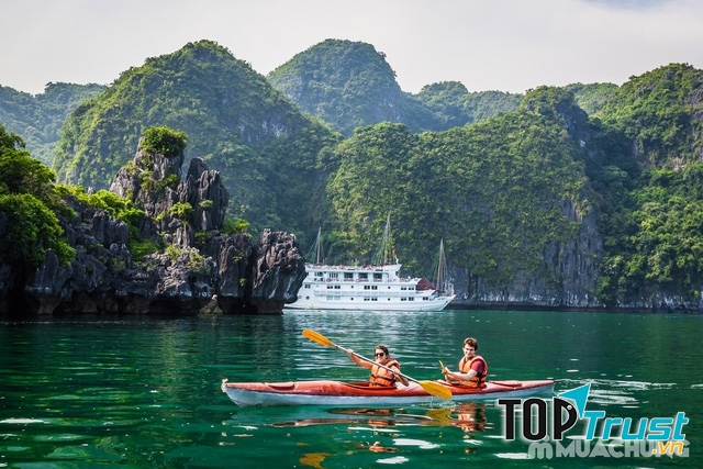 các cặp đôi trèo thuyền trên vịnh
