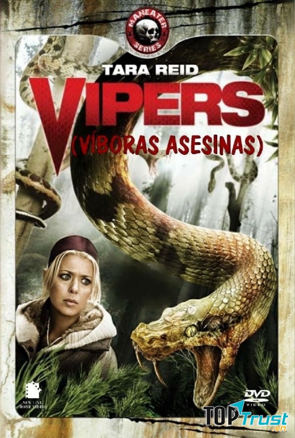 Vipers (2008)