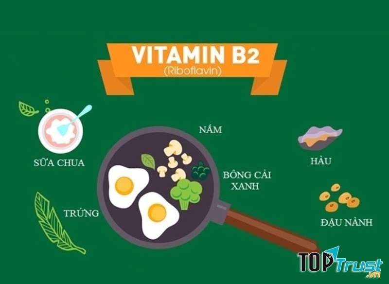 Vitamin B2