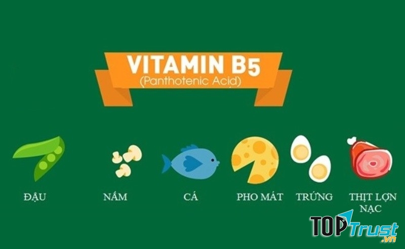 Vitamin B5
