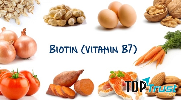Vitamin B7