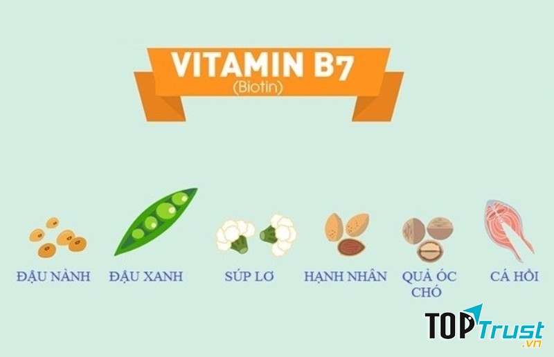 Vitamin B7