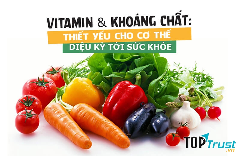 Vitamin và khoáng chất