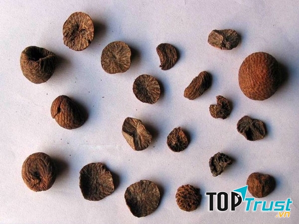 Bên trong vỏ cau khô chứa các axit giúp dễ dàng tẩy sạch các mảng bám ố vàng trên răng.