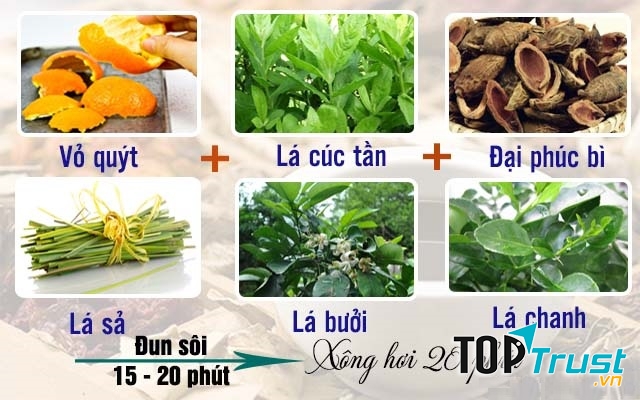 Đây là bài thuốc giúp điều hòa khí huyết, tăng cường giải độc, làm giảm căng thẳng mệt mỏi