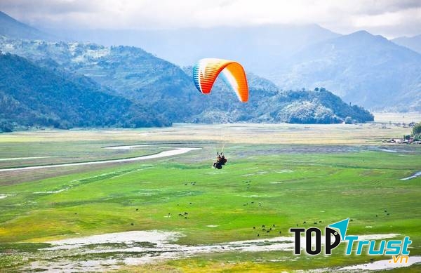 Vô số cuộc phiêu lưu kì thú