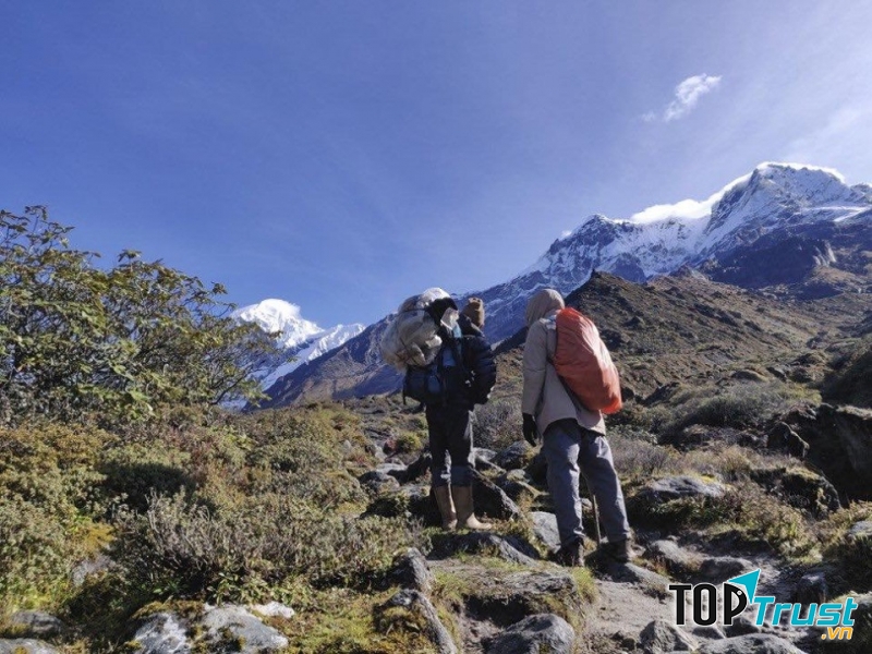 Vô số cuộc phiêu lưu kì thú