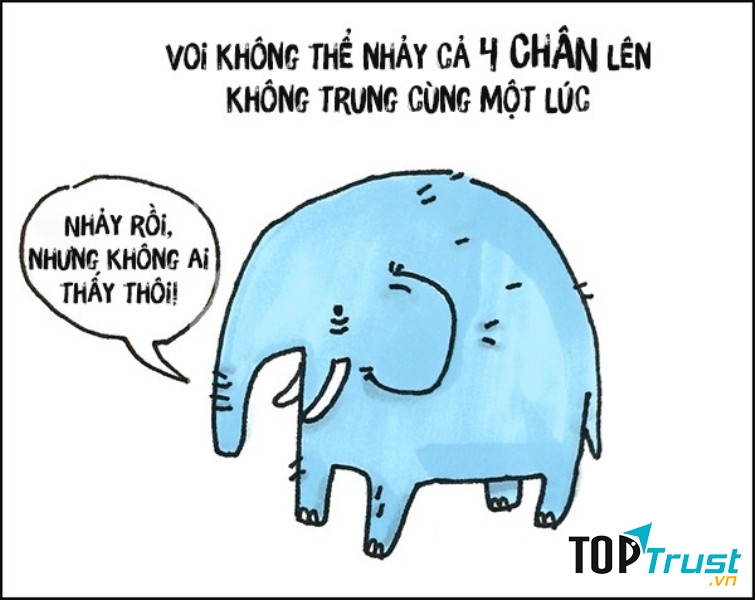 Voi là động vật hiếm hoi không thể nhảy
