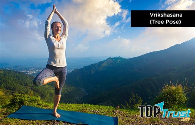 Vrikshasana – Tree Pose (tư thế cái cây)