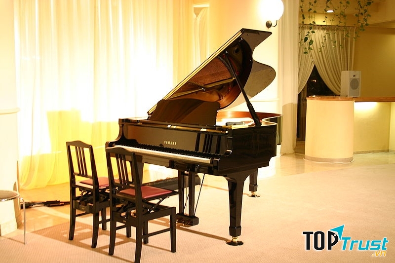 Vụ án liên hoàn gắn liền với bản Sonata Ánh trăng. Mỗi khi có án mạng xảy ra, lại là tiếng đàn dương cầm vang lên.