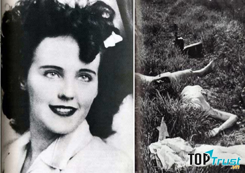 Vụ án thược dược đen