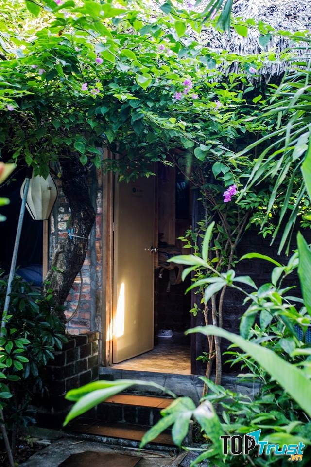 Không gian xanh đón ánh nắng thư giãn đầu ngày