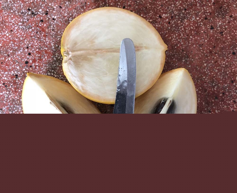 Ảnh minh họa - nguồn internet