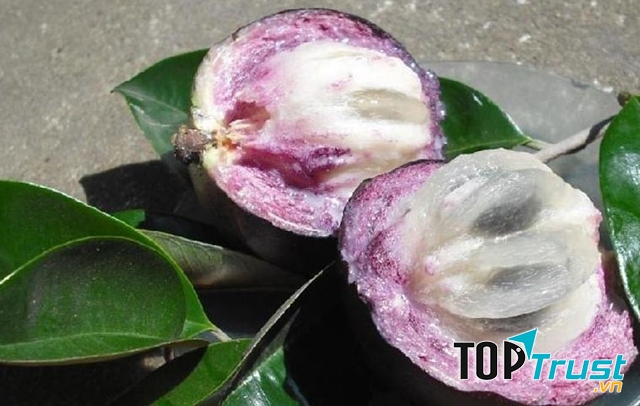 Vú sữa Lò Rèn với lõi ruột trắng trong, mềm dịu, thanh ngọt lưu lại hương thơm khó tả đối với những du khách lần đầu nếm thử