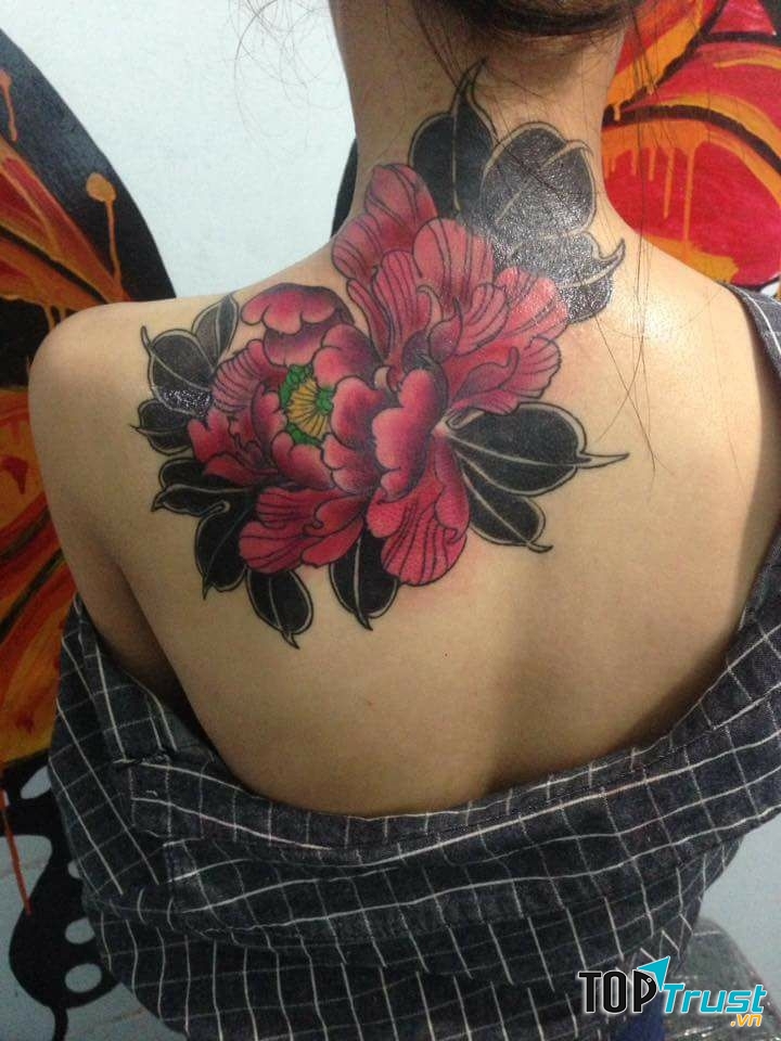 Vũ Xuân Hữu