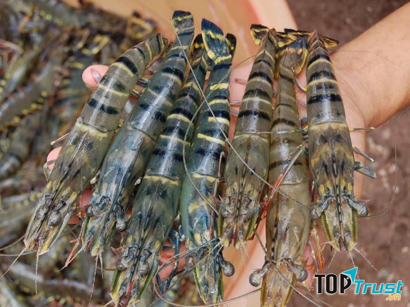 Vựa hải sản Tư Ốc Lầu