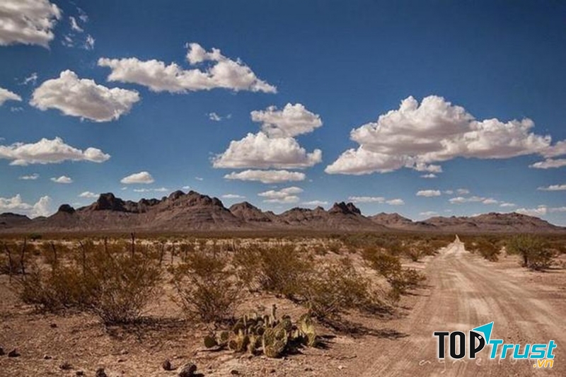 Vùng đất im lặng