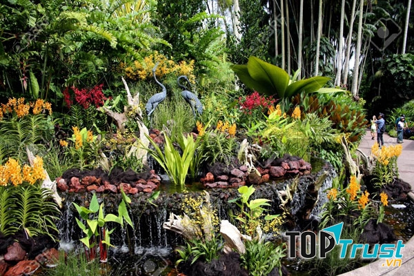 Vườn bách thảo Botanic Garden Singapore