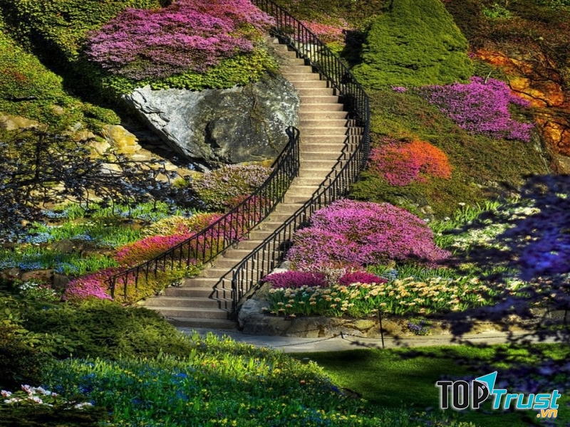 Vườn Butchart với 900 loại hoa rực rỡ