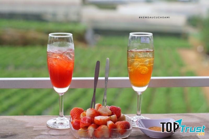 Ngoài hái dâu và tham quan thì đến Cúc Họa Mi để ăn kem dâu ngắm cảnh cũng chill lắm đấy