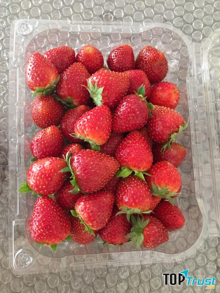 Dâu tại Papi Farm