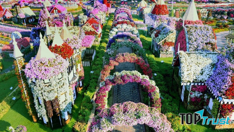 Có ít nhất 45 màu sắc tự nhiên được tìm thấy trong vườn Dubai Miracle Garden.