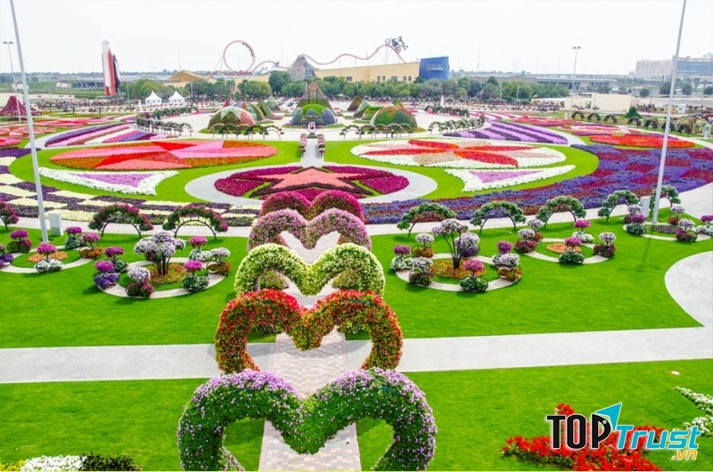 Vườn hoa có những tạo hình khác nhau, từ hình trái tim, ngôi sao, lều tuyết, kim tự tháp