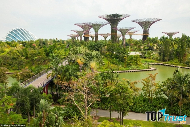 Vườn Garden by the Bay