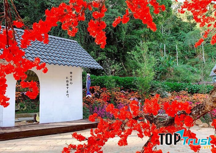 Vườn Hoa Anh Đào