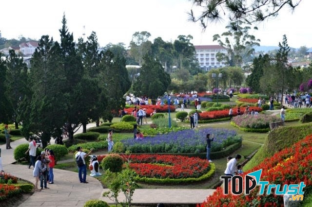 Vườn hoa Đà Lạt