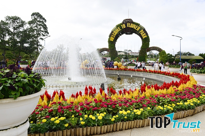 Vườn hoa Đà Lạt