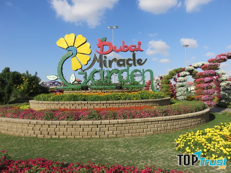 Vườn hoa Dubai- Thiên đường của các loài hoa