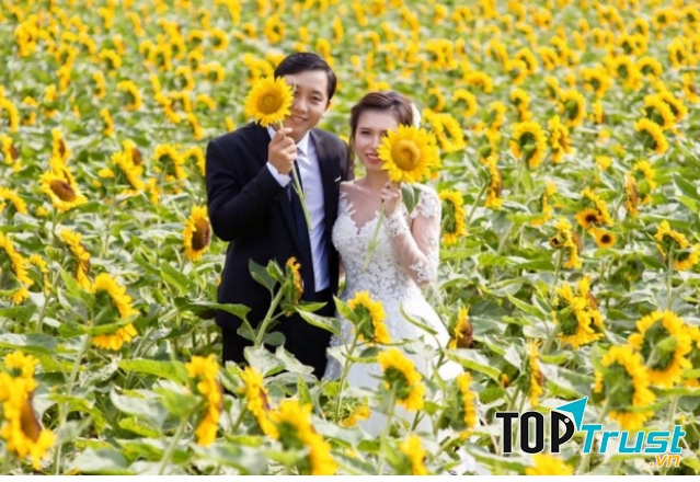 Vườn hoa Mãn Đình Hồng