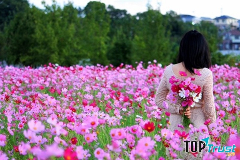 Vườn hoa Nhật Tân