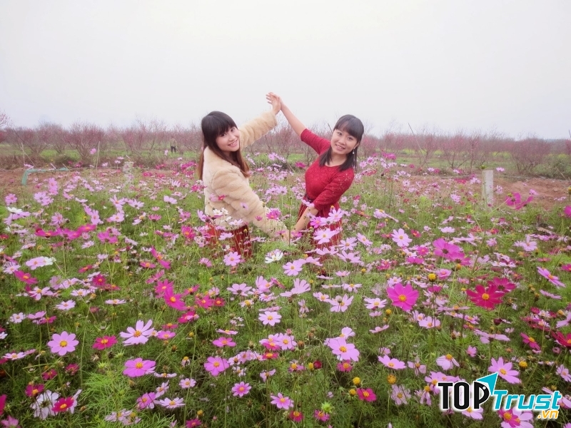 Ảnh minh họa (nguồn internet)