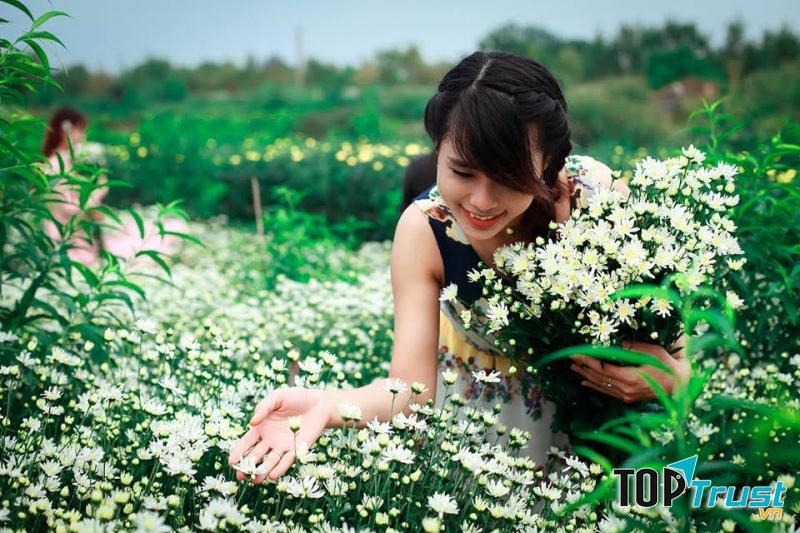 Làng hoa Tây Tựu