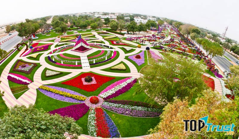 Vườn hoa thành phố Đà Lạt