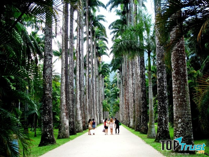 Vườn Jardim Botanico