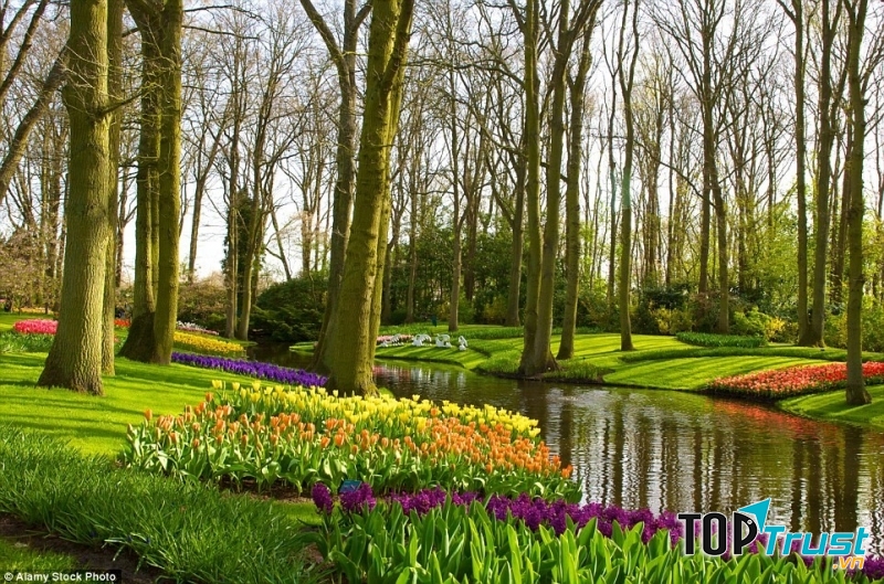 Vườn Keukenhof