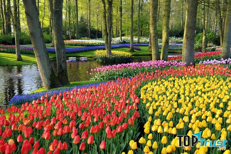Vườn Keukenhof